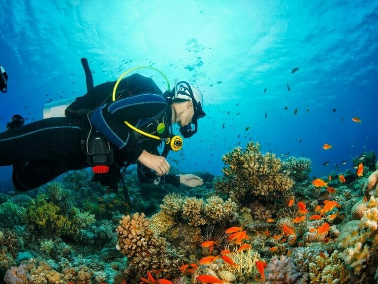 Scuba Diving in Cancun