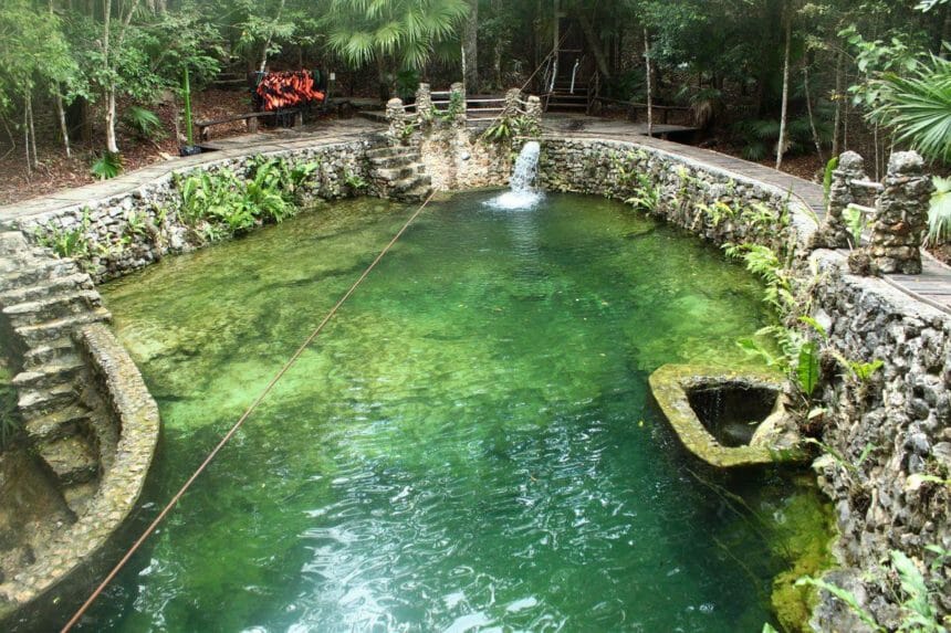 Boca Del Puma Cenote Overview